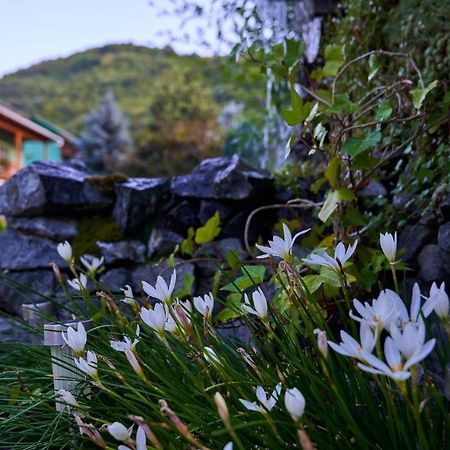 Pension Charisma Băile Herculane Zewnętrze zdjęcie