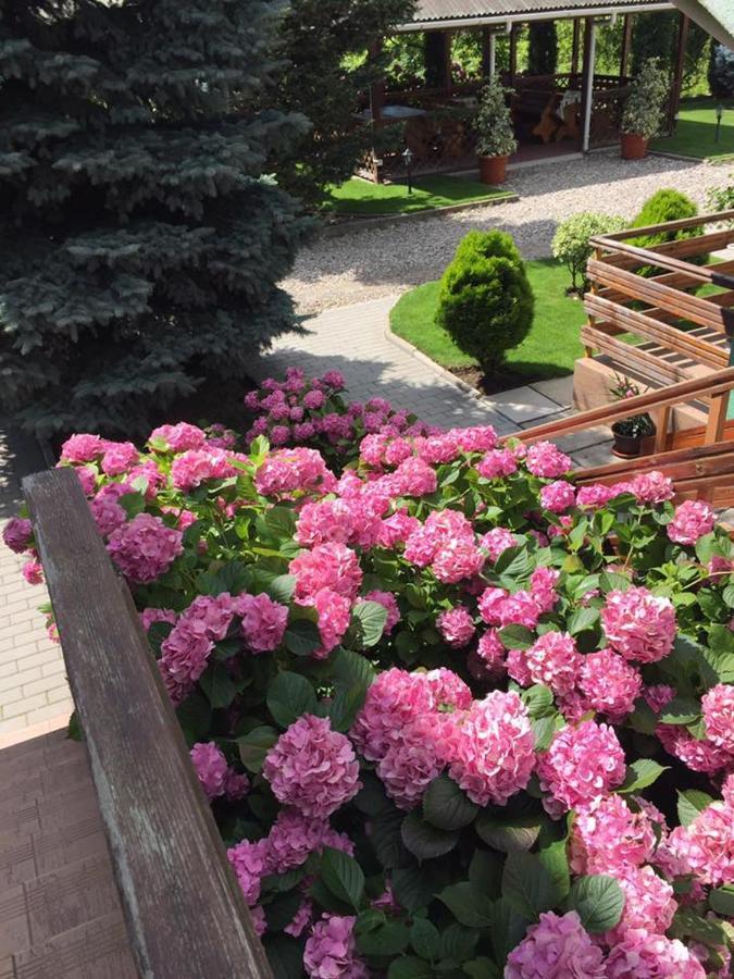 Pension Charisma Băile Herculane Zewnętrze zdjęcie